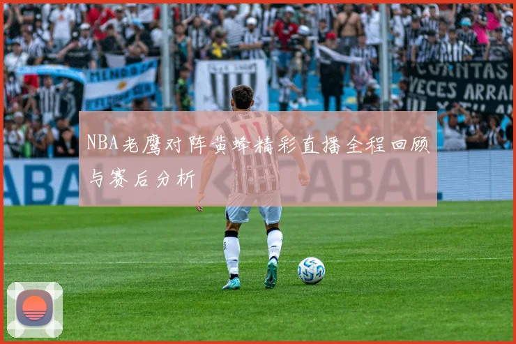 NBA老鹰对阵黄蜂精彩直播全程回顾与赛后分析
