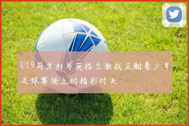 U19匈牙利与英格兰激战正酣青少年足球赛场上的精彩对决