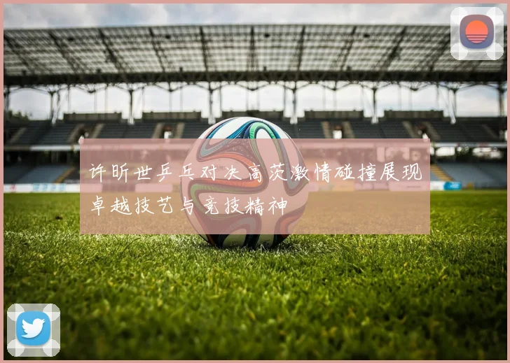 许昕世乒乓对决高茨激情碰撞展现卓越技艺与竞技精神