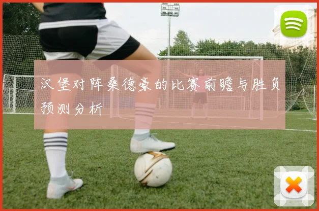 汉堡对阵桑德豪的比赛前瞻与胜负预测分析