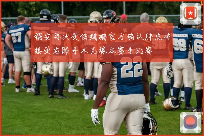 锡安再次受伤鹈鹕官方确认胖虎将接受右膝手术无缘本赛季比赛