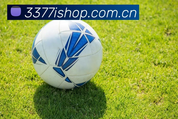 3377体育平台生态图